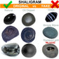 Original Shaligram Stone With Free Lakshmi Pyramid