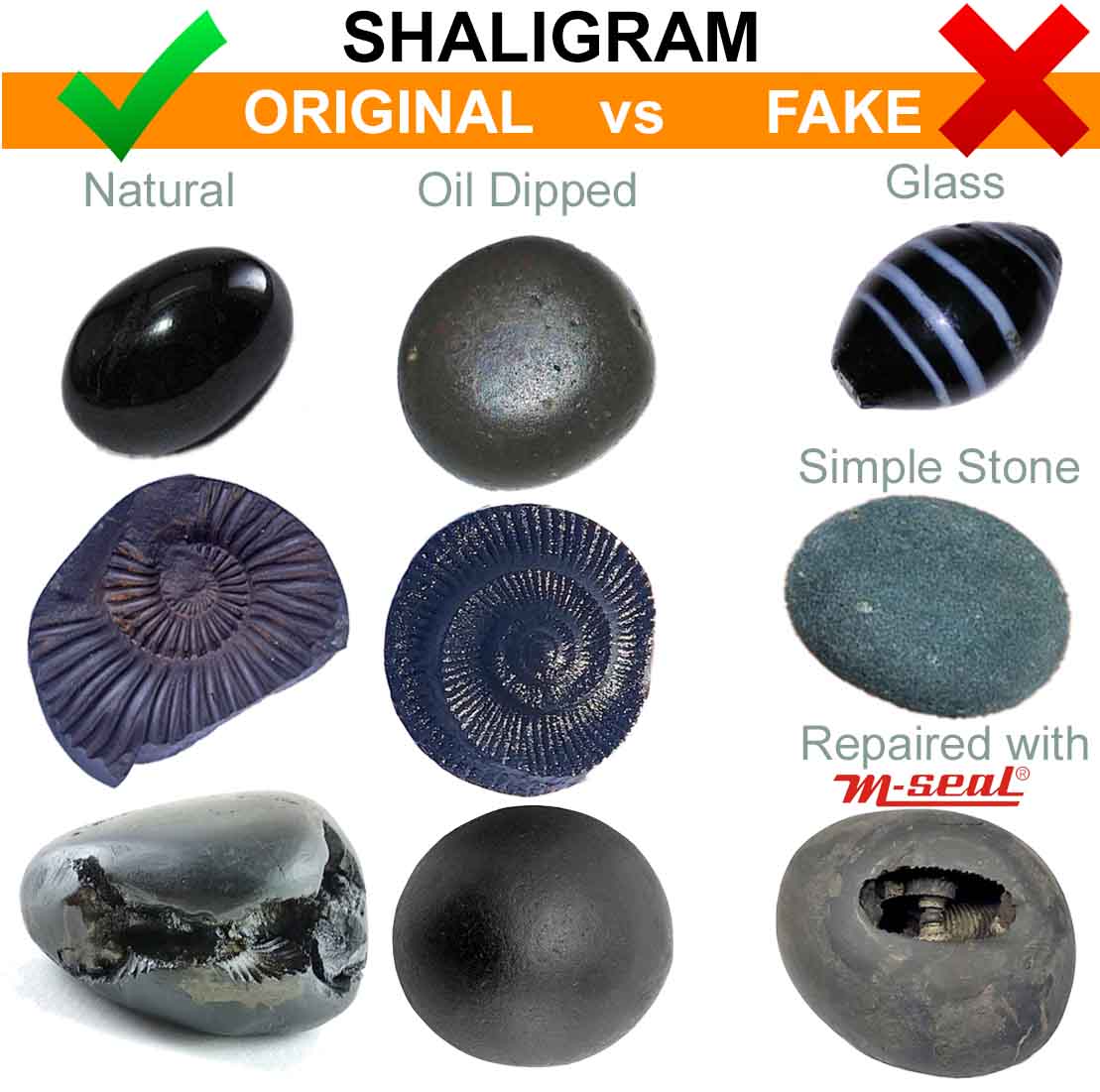 Original Shaligram Stone With Free Lakshmi Pyramid