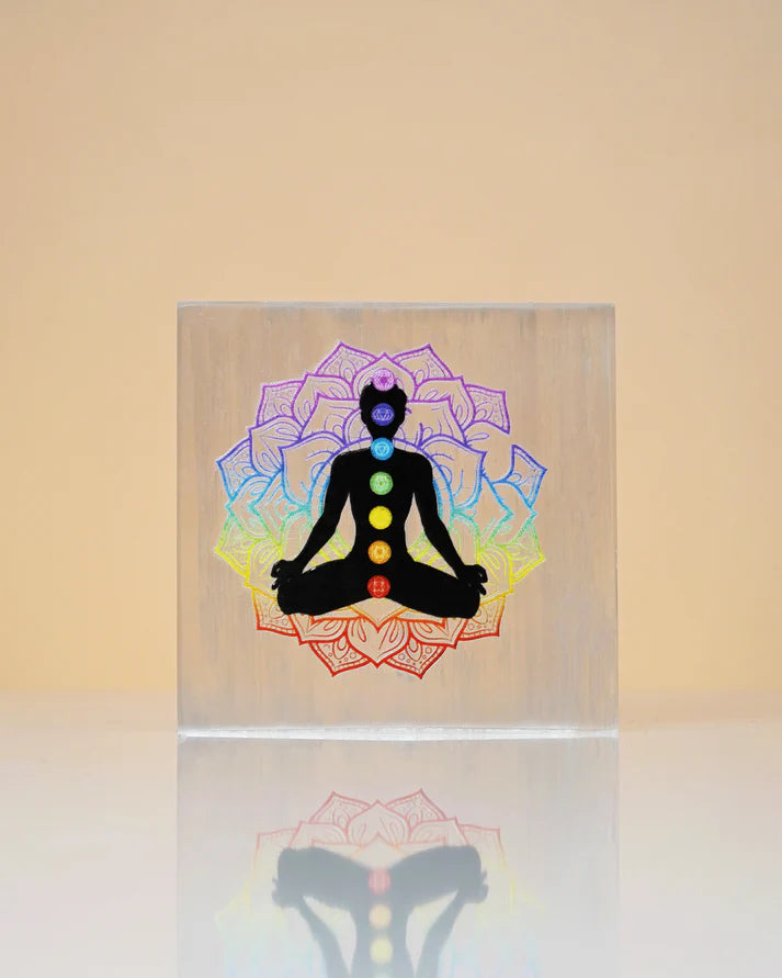 Original Shaligram Stone With Free Lakshmi Pyramid